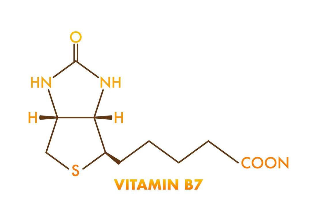 Learn about Biotin - Vitamin B7