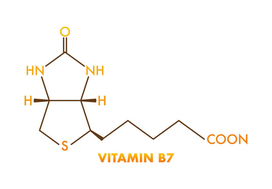 Learn about Biotin - Vitamin B7