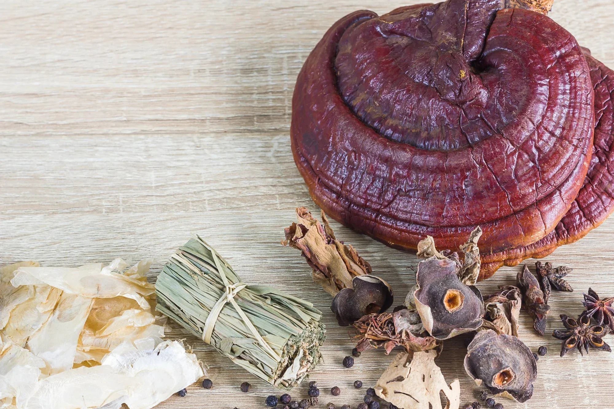 Functional Mushrooms Outperform CBD for Mental Calm and Focus: 7 Reasons Why
